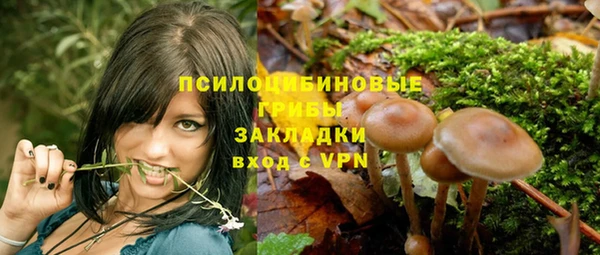 стафф Абдулино