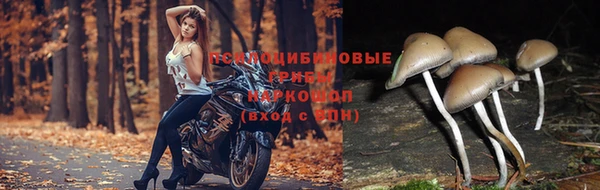 эйфоретик Абаза