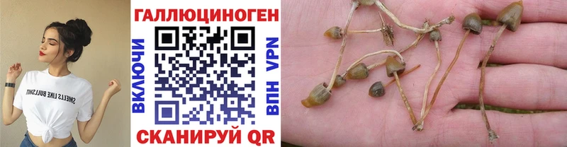 Галлюциногенные грибы Magic Shrooms  Абакан 