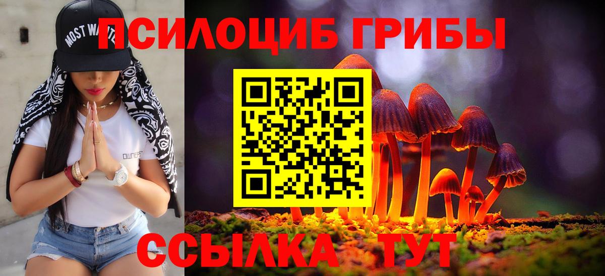 Абакан  Галлюциногенные грибы Magic Shrooms  Галлюциногенные грибы Magic Shrooms  Вход с VPN 