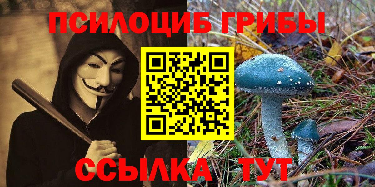 Галлюциногенные грибы Cubensis Абакан